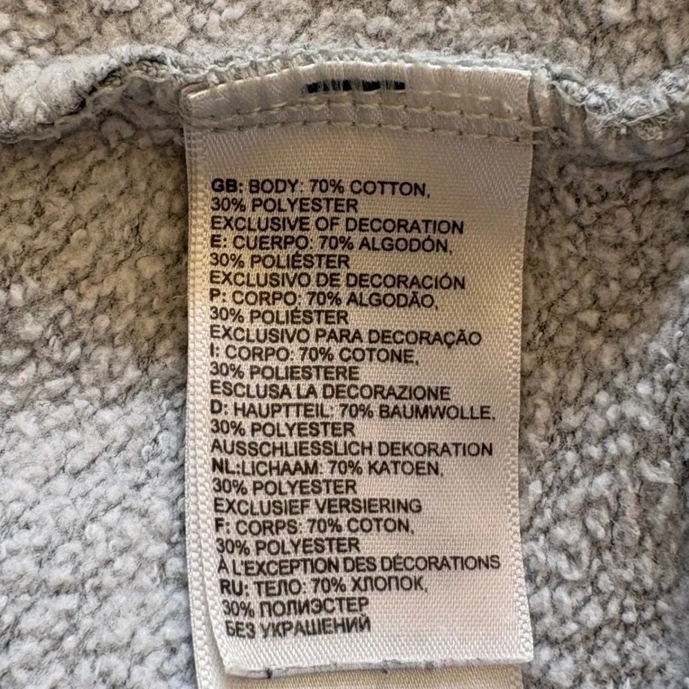 The North Face Gray Hoodie Mens S Graphic Pullover Gorpcore Streetwear Fleece